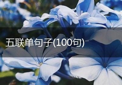 五联单句子(100句)