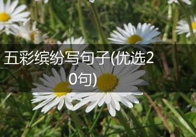 五彩缤纷写句子(优选20句)