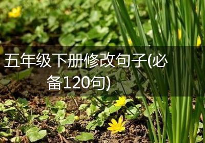 五年级下册修改句子(必备120句)