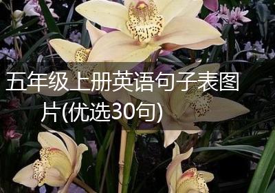 五年级上册英语句子表图片(优选30句)