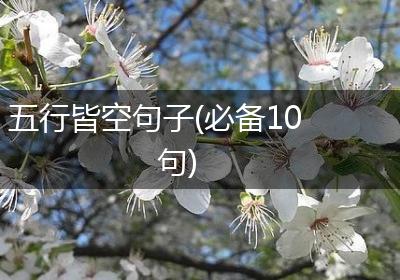 五行皆空句子(必备10句)
