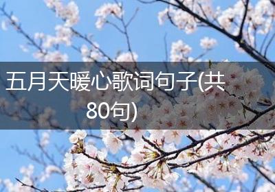五月天暖心歌词句子(共80句)