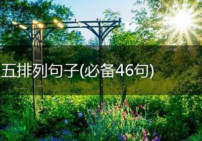 五排列句子(必备46句)