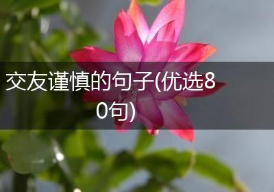 交友谨慎的句子(优选80句)
