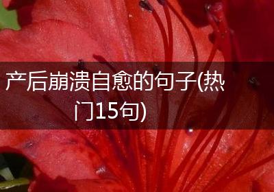 产后崩溃自愈的句子(热门15句)