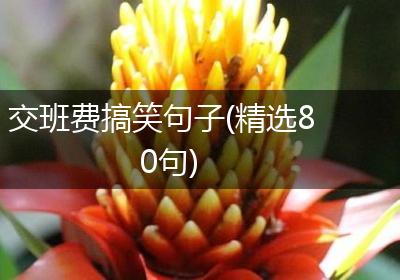 交班费搞笑句子(精选80句)