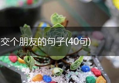 交个朋友的句子(40句)