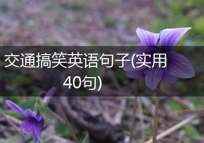 交通搞笑英语句子(实用40句)