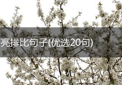 亮排比句子(优选20句)