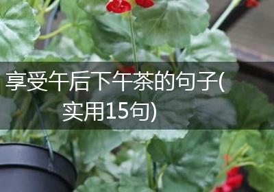 享受午后下午茶的句子(实用15句)