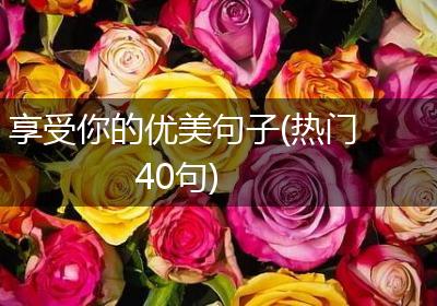 享受你的优美句子(热门40句)