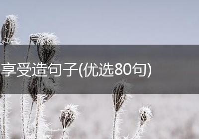 享受造句子(优选80句)