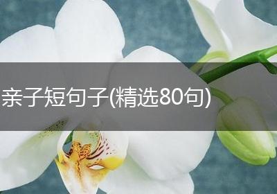 亲子短句子(精选80句)