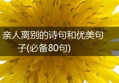 亲人离别的诗句和优美句子(必备80句)