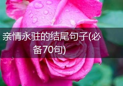 亲情永驻的结尾句子(必备70句)
