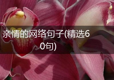 亲情的网络句子(精选60句)
