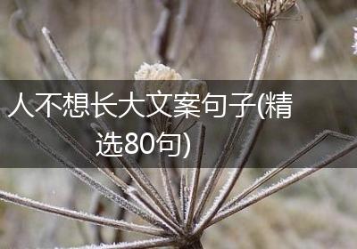 人不想长大文案句子(精选80句)