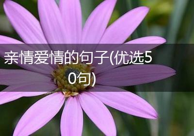 亲情爱情的句子(优选50句)