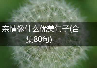 亲情像什么优美句子(合集80句)