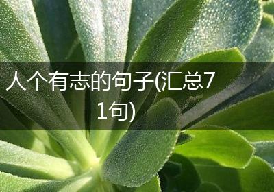 人个有志的句子(汇总71句)