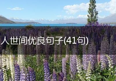人世间优良句子(41句)