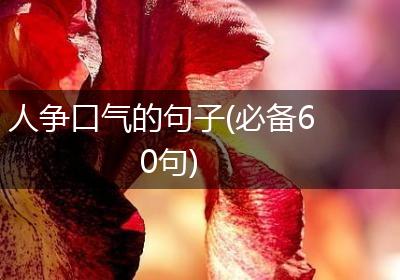 人争口气的句子(必备60句)