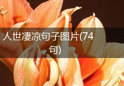 人世凄凉句子图片(74句)