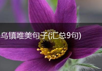 乌镇唯美句子(汇总9句)