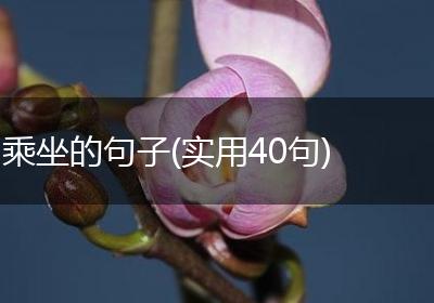 乘坐的句子(实用40句)