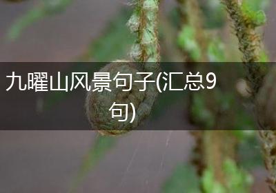 九曜山风景句子(汇总9句)