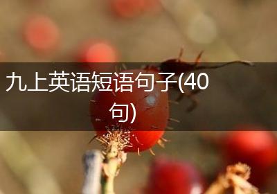 九上英语短语句子(40句)