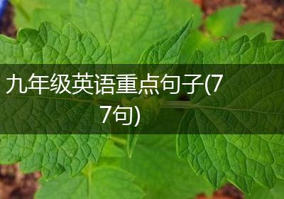 九年级英语重点句子(77句)