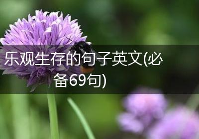 乐观生存的句子英文(必备69句)