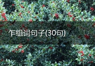 乍组词句子(30句)
