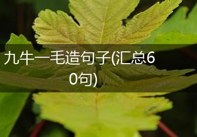 九牛一毛造句子(汇总60句)