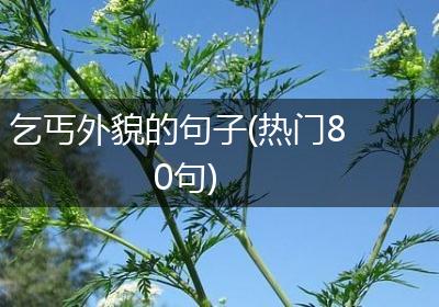 乞丐外貌的句子(热门80句)