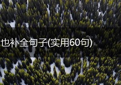 也补全句子(实用60句)