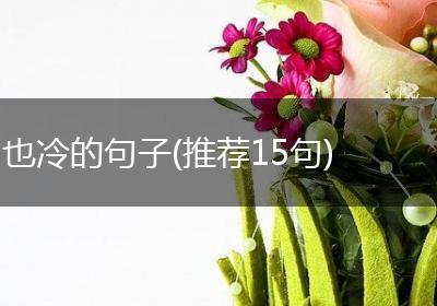 也冷的句子(推荐15句)