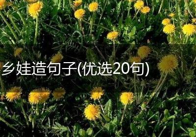 乡娃造句子(优选20句)