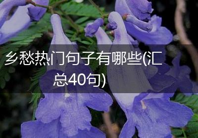 乡愁热门句子有哪些(汇总40句)