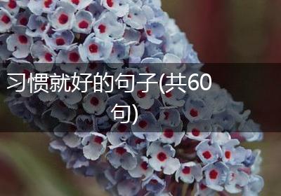 习惯就好的句子(共60句)