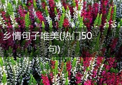 乡情句子唯美(热门50句)