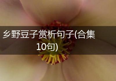 乡野豆子赏析句子(合集10句)