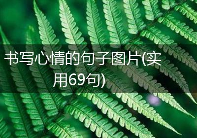 书写心情的句子图片(实用69句)