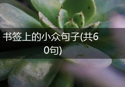 书签上的小众句子(共60句)
