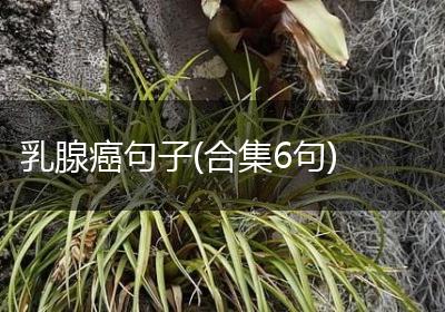 乳腺癌句子(合集6句)
