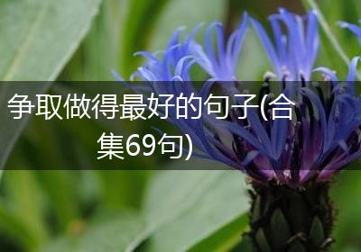 争取做得最好的句子(合集69句)