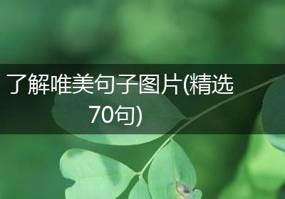 了解唯美句子图片(精选70句)