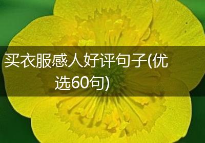 买衣服感人好评句子(优选60句)