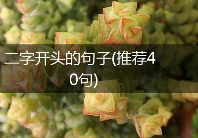 二字开头的句子(推荐40句)